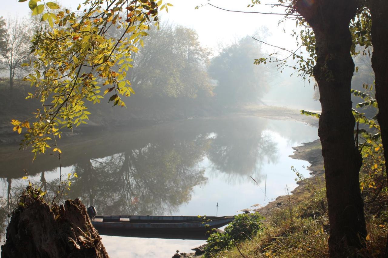 Murmures De Loire Montjean-sur-Loire Esterno foto